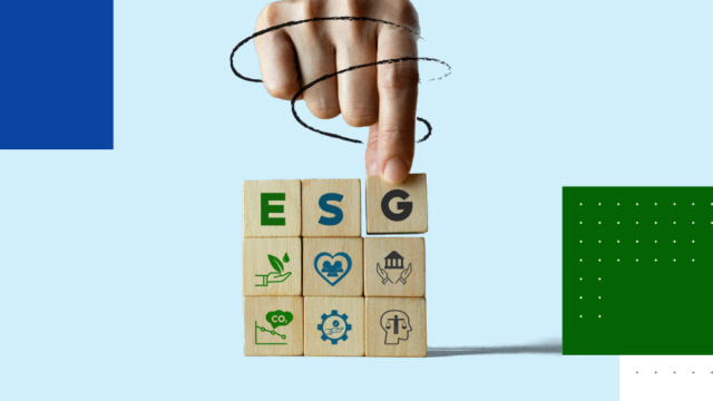 ESG-governance